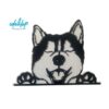 Comederos XXL 30cm - Image 17