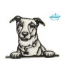 Comederos XL 25cm - Image 7