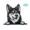 Comederos XXL 30cm - Image 15