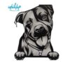Comederos XL 25cm - Image 11