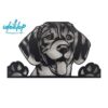 Comederos XL 25cm - Image 12
