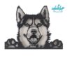 Comederos XXXL 38cm - Image 14