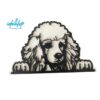 Comederos XL 25cm - Image 15
